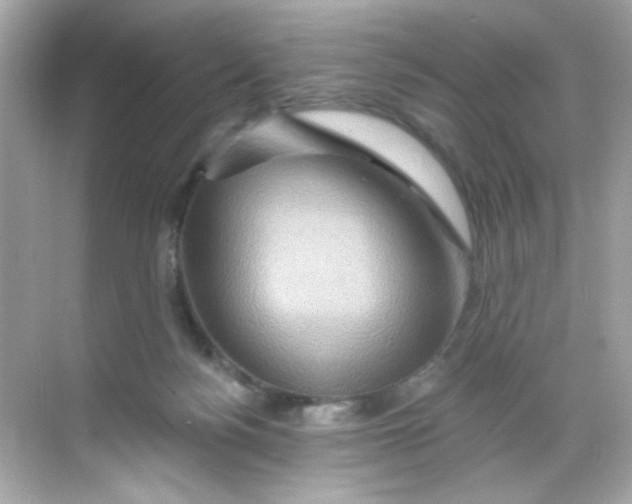 X0000068320172200605122106
