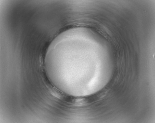 X0000068320173200605122106