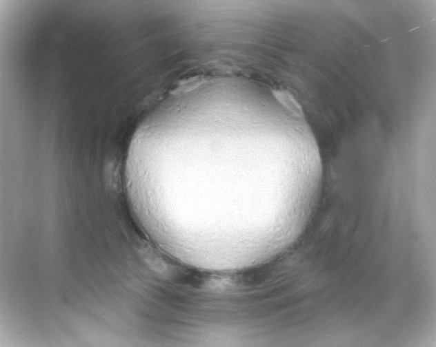 X0000068320177200605122106