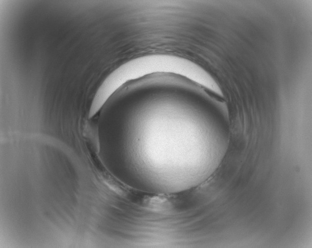 X0000068320180200605122106
