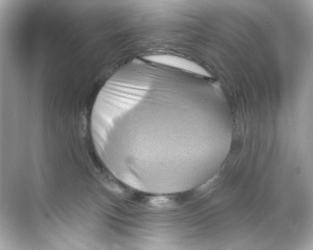 X0000068320183200605122106