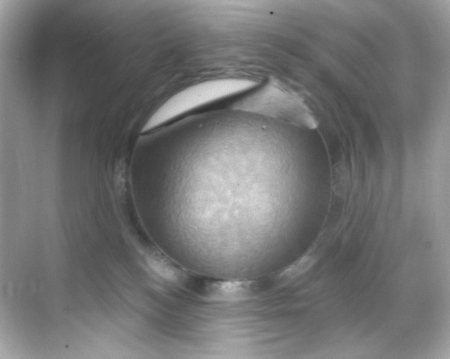 X0000068320184200605122106