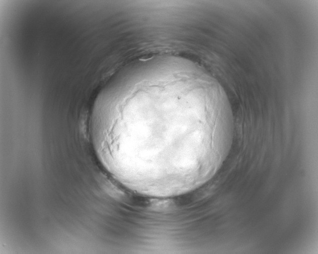 X0000068320185200605122106