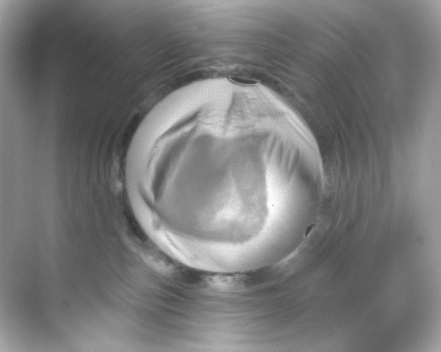X0000068320187200605122106