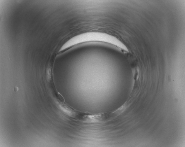 X0000068320188200605122106