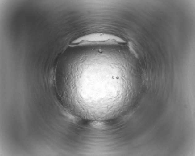 X0000068320189200605122106