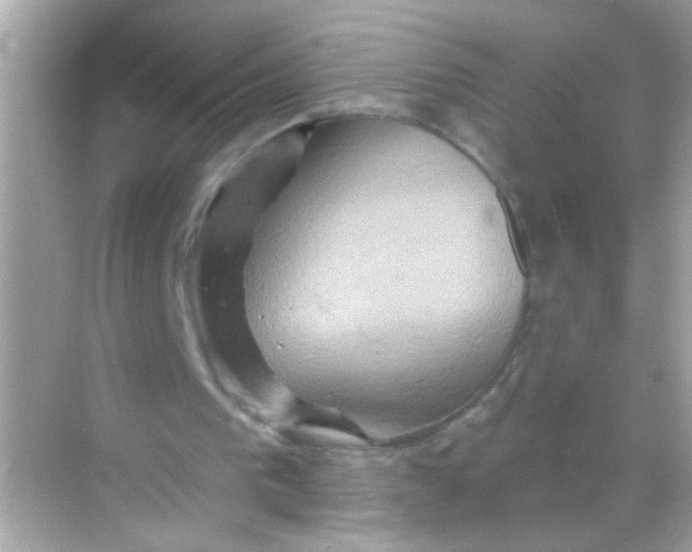 X0000068320193200605122105