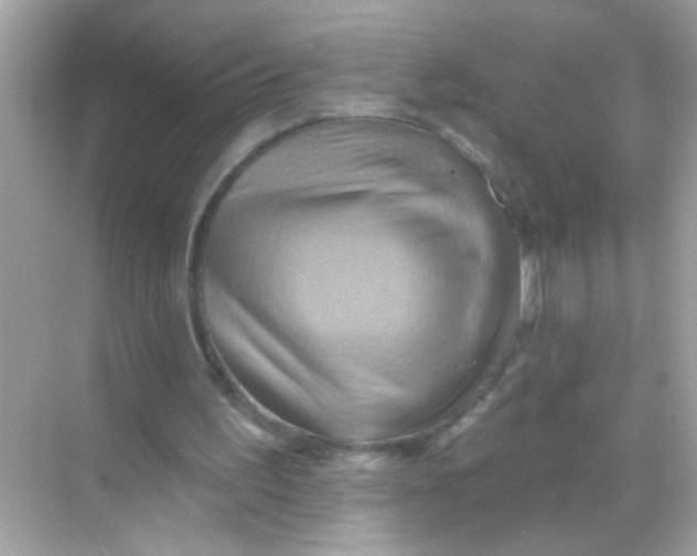 X0000068320195200605122105