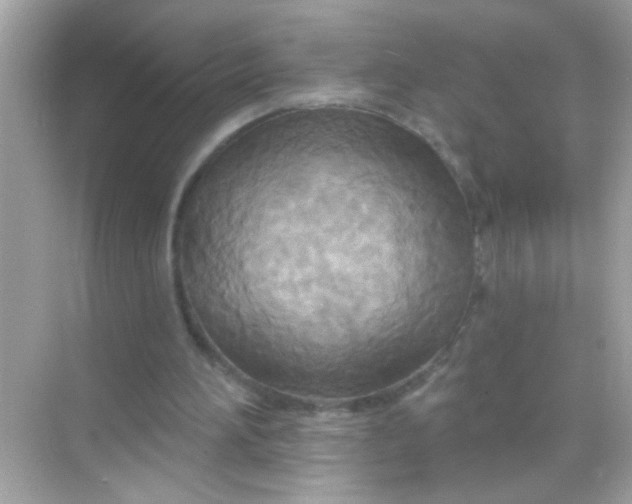 X0000068320196200605122105
