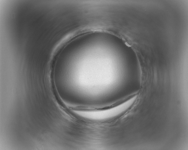 X0000068320197200605122105