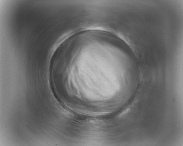 X0000068320199200605122105