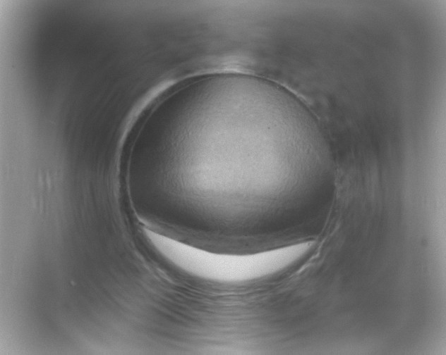 X0000068320200200605122105