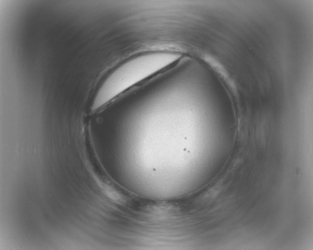 X0000068320201200605122105