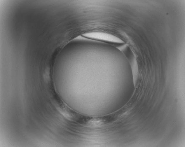 X0000068320213200605122105