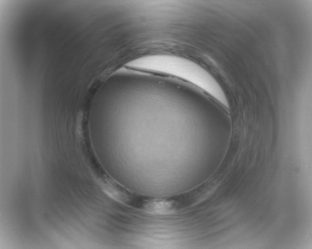 X0000068320217200605122105