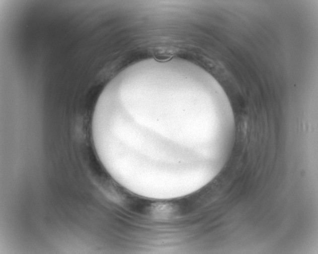 X0000068320218200605122105