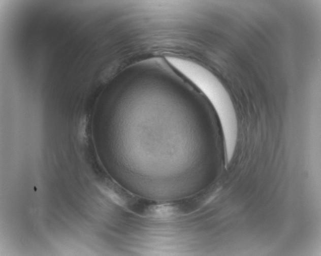X0000068320219200605122105