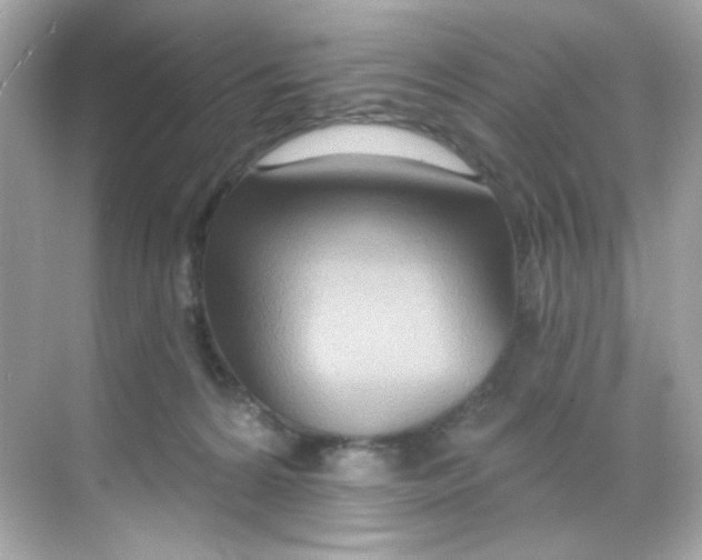 X0000068320224200605122105