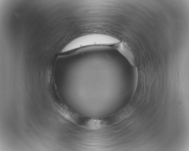 X0000068320227200605122105