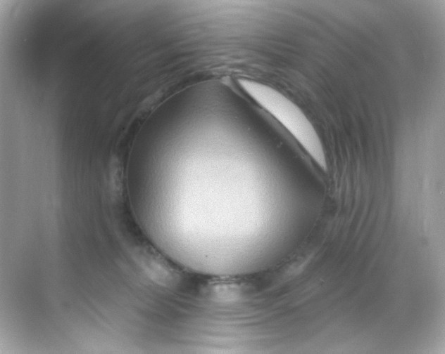 X0000068320228200605122104