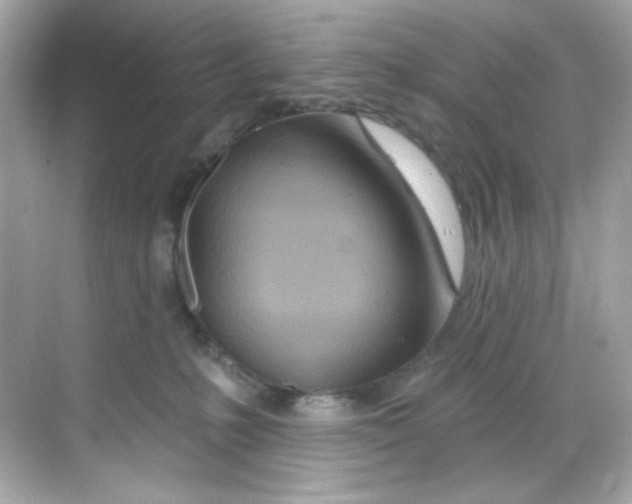 X0000068320231200605122104