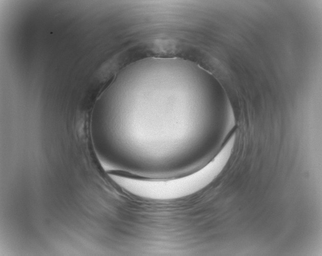 X0000068320233200605122104