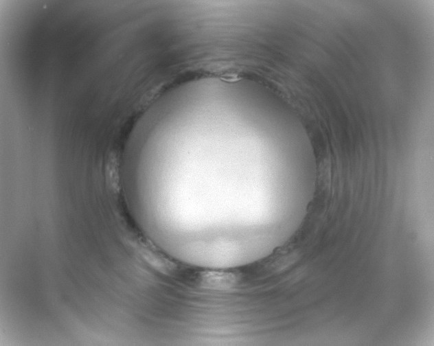 X0000068320234200605122104