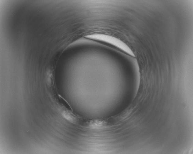 X0000068320235200605122104