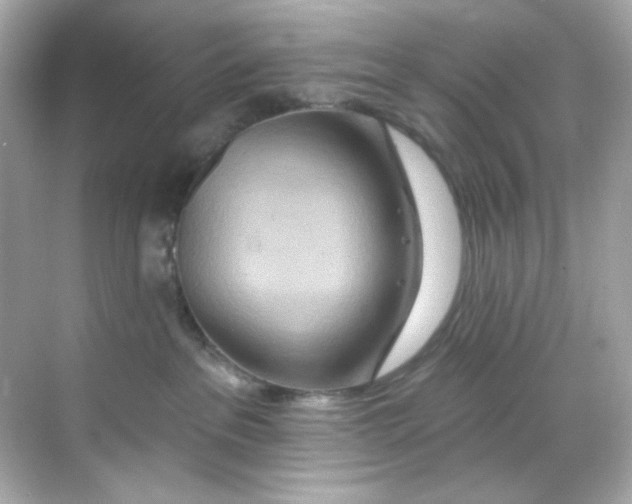 X0000068320237200605122104