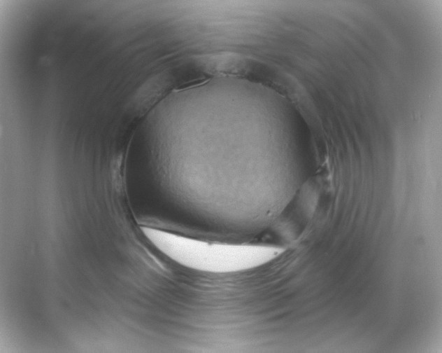 X0000068320239200605122104