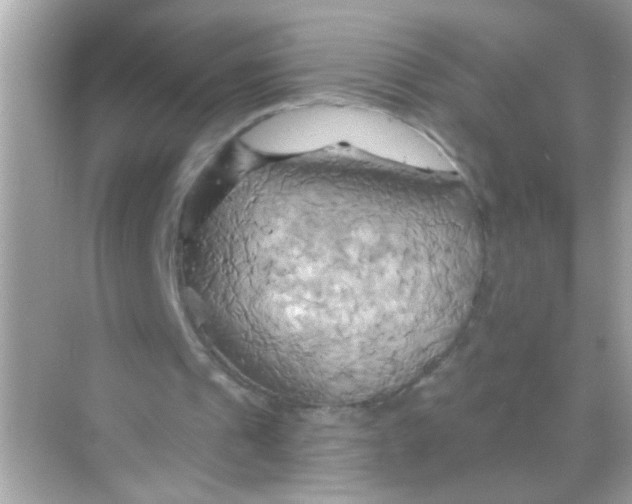 X0000068320241200605122103