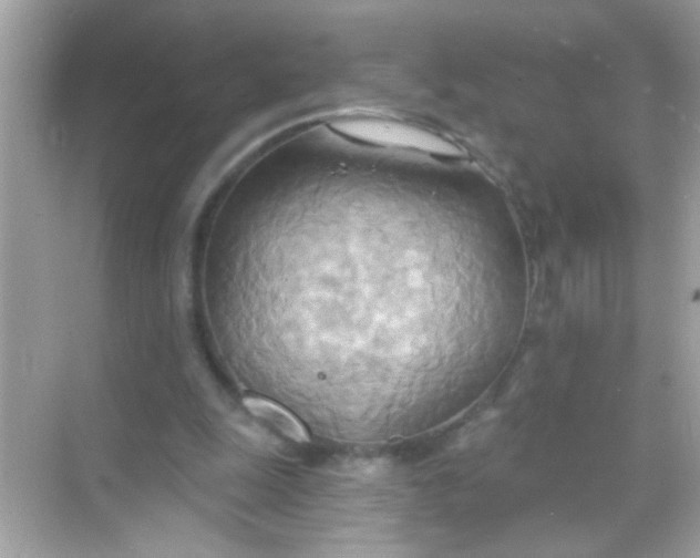 X0000068320247200605122104