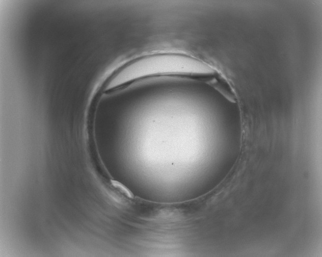X0000068320248200605122104
