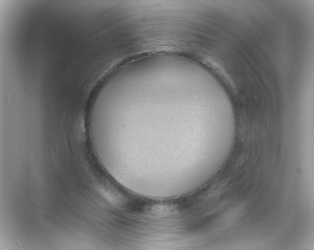 X0000068320251200605122104