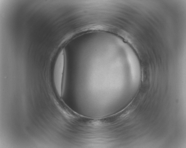 X0000068320253200605122104