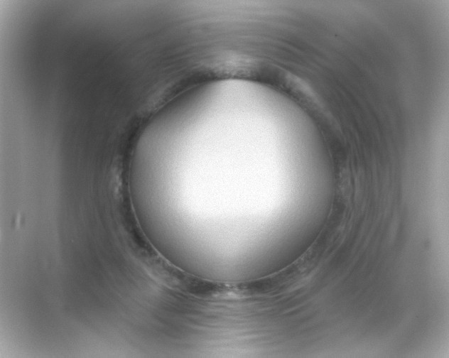 X0000068320259200605122104
