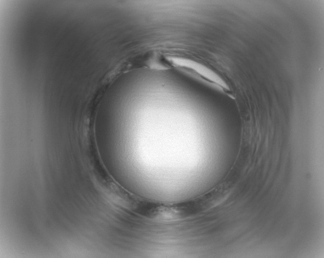 X0000068320263200605122104