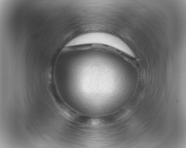 X0000068320264200605122104