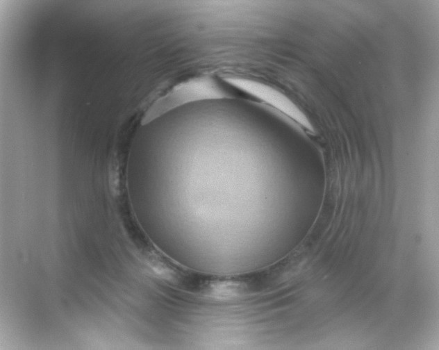 X0000068320268200605122104