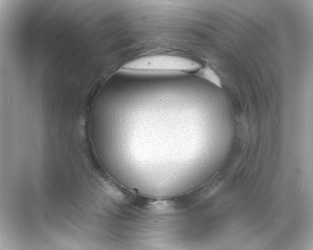 X0000068320269200605122104