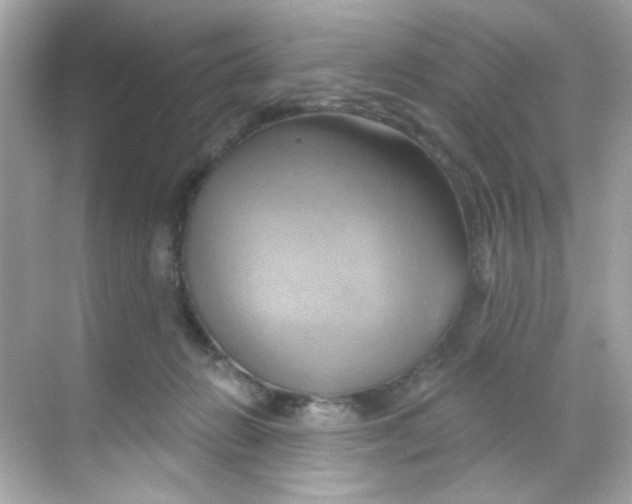 X0000068320270200605122104