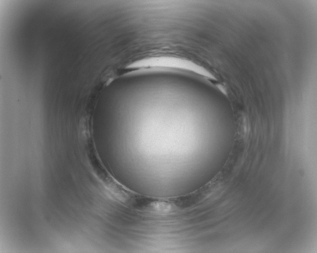 X0000068320272200605122104