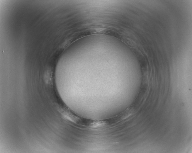 X0000068320274200605122104