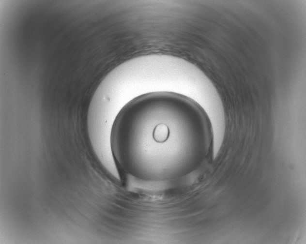 X0000068320276200605122104