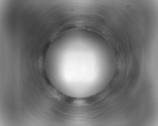 X0000068320283200605122104