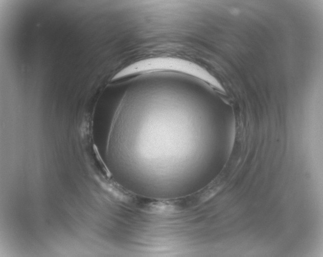 X0000068320284200605122104