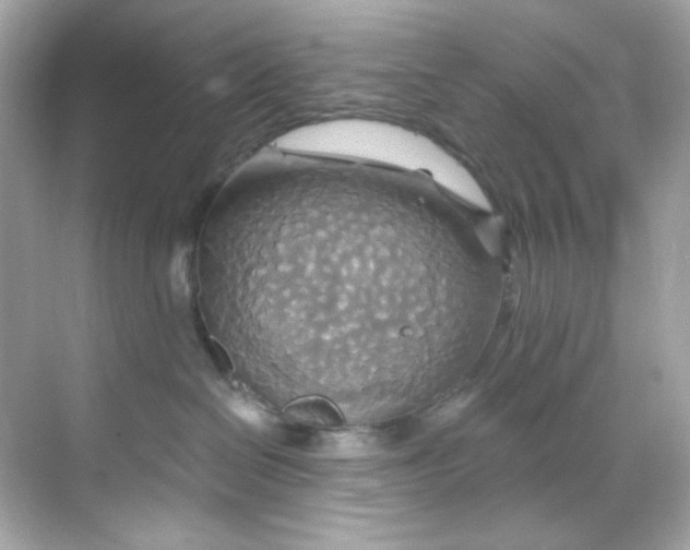 X0000068320286200605122104
