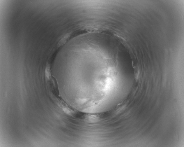 X0000068320287200605122104