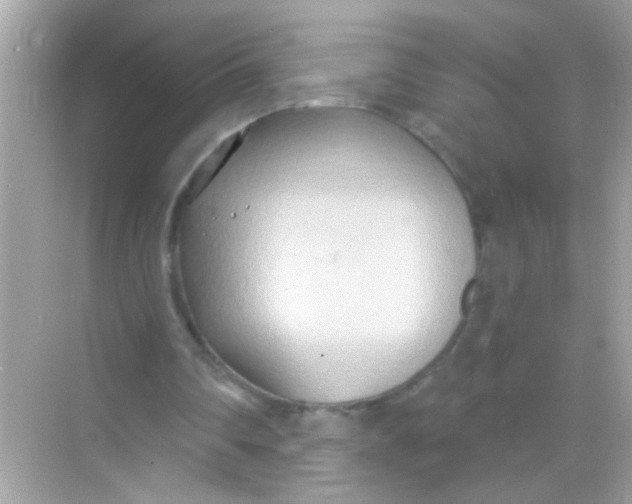 X0000068320290200605122103