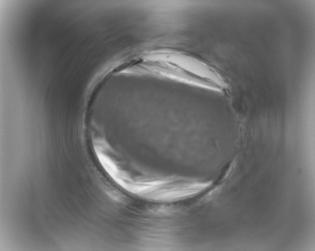 X0000068320293200605122103